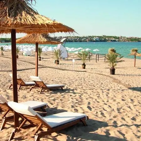 Paradise Dreams - Bulharske - *